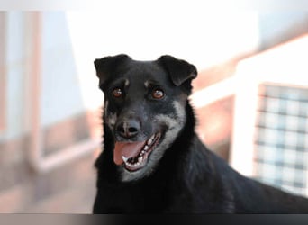 Menschenbezogene Lana sucht ihre Familie