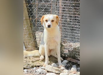 Lola sucht ihren sicheren Hafen