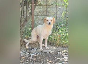Lola sucht ihren sicheren Hafen
