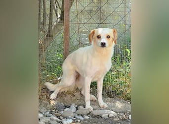 Lola sucht ihren sicheren Hafen