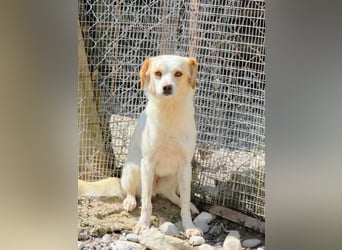 Lola sucht ihren sicheren Hafen