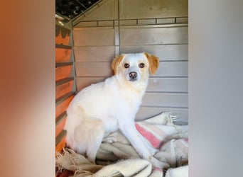Lola sucht ihren sicheren Hafen