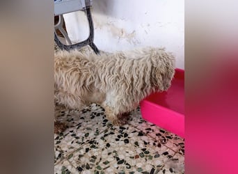 Casper sucht sein Glück
