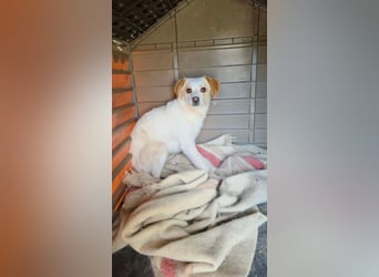 Lola sucht ihren sicheren Hafen