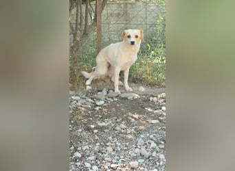 Lola sucht ihren sicheren Hafen