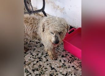 Casper sucht sein Glück