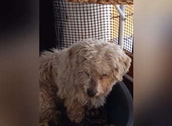 Casper sucht sein Glück