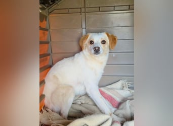 Lola sucht ihren sicheren Hafen