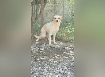 Lola sucht ihren sicheren Hafen