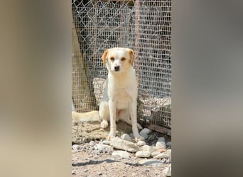Lola sucht ihren sicheren Hafen