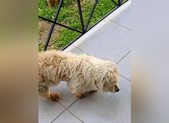 Casper sucht sein Glück