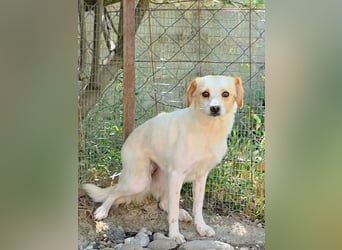 Lola sucht ihren sicheren Hafen