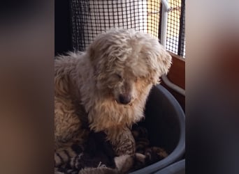 Casper sucht sein Glück