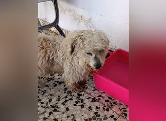 Casper sucht sein Glück