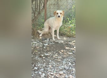 Lola sucht ihren sicheren Hafen