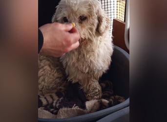 Casper sucht sein Glück