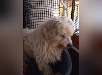 Casper sucht sein Glück