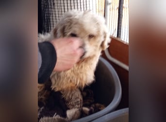 Casper sucht sein Glück