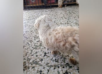 Casper sucht sein Glück