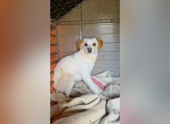 Lola sucht ihren sicheren Hafen