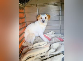 Lola sucht ihren sicheren Hafen