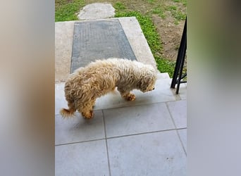 Casper sucht sein Glück