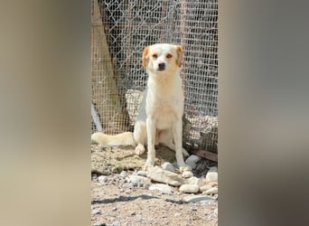Lola sucht ihren sicheren Hafen