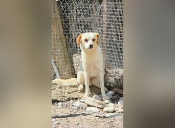 Lola sucht ihren sicheren Hafen