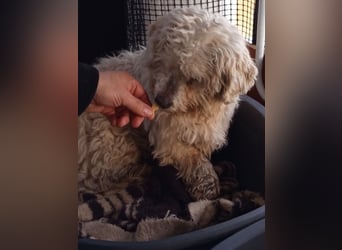 Casper sucht sein Glück