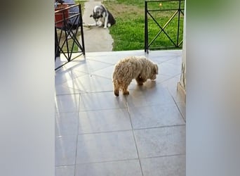 Casper sucht sein Glück