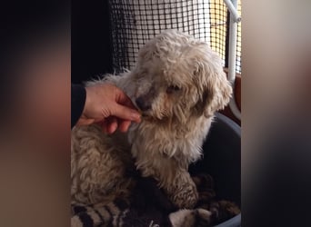 Casper sucht sein Glück