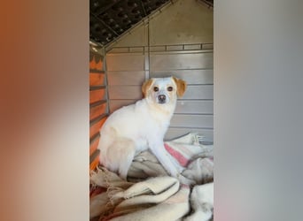 Lola sucht ihren sicheren Hafen