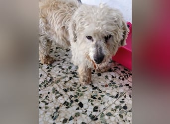 Casper sucht sein Glück