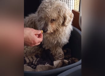 Casper sucht sein Glück