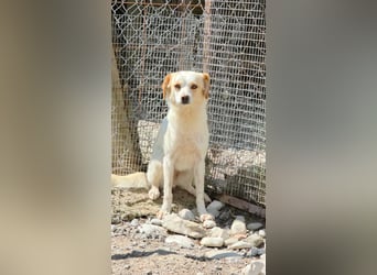 Lola sucht ihren sicheren Hafen