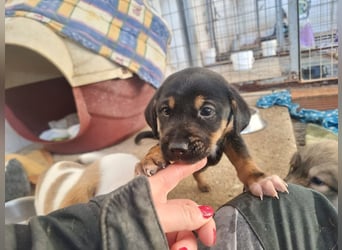 Katja - eine kleine Entdeckerin mit großem Herz