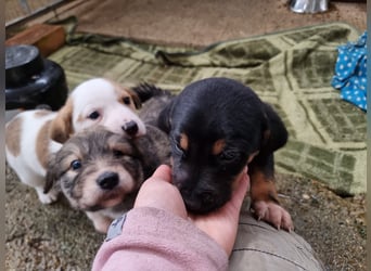 Katja - eine kleine Entdeckerin mit großem Herz