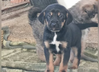 Katja - eine kleine Entdeckerin mit großem Herz