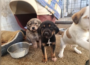 Katja - eine kleine Entdeckerin mit großem Herz