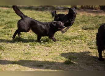 Wirbelwind Pili Mili