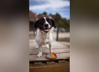 fröhliche Jupi