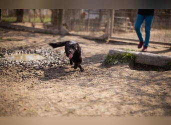 Wirbelwind Pili Mili