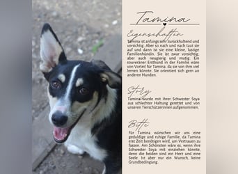 TAMINA - Zaubermaus sucht Familie