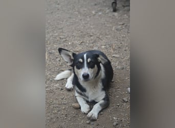 TAMINA - Zaubermaus sucht Familie