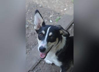 TAMINA - Zaubermaus sucht Familie