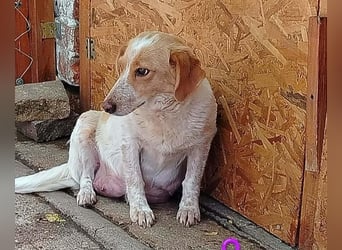 Lillyfee sucht Ihren eigenen Garten