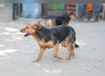 Bea will endlich ankommen