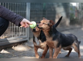 Bea will endlich ankommen
