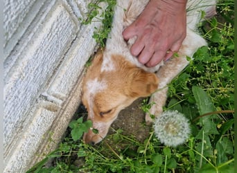 Lillyfee sucht Ihren eigenen Garten