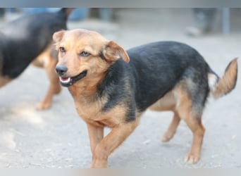 Bea will endlich ankommen